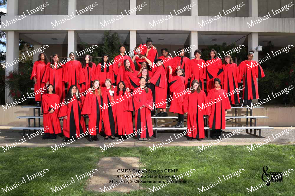 Musical Images